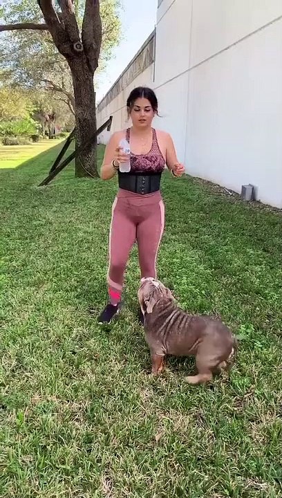 Funny Dog