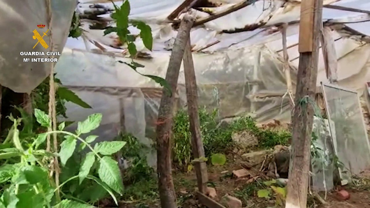 Caen seis puntos de venta de droga en Burgos y Palencia