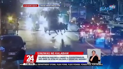 Kalabaw na nakawala umano sa slaughterhouse, nag-amok sa gitna ng kalsada; 6 sasakyan, nadamay | 24 Oras