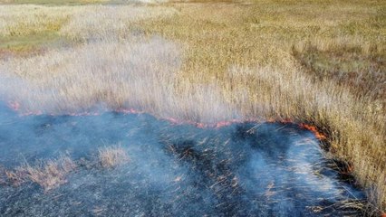 Eber Gölü'nde yangın
