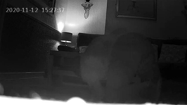 A woman has told how her creepy stalker neighbour was caught on camera trying to remove secret listening devices he planted in her house - including one on her BED