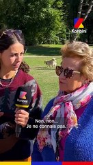 Vous avez déjà eu la chienne vous ?  Et mercé @woofrun_ pour l'accueil !