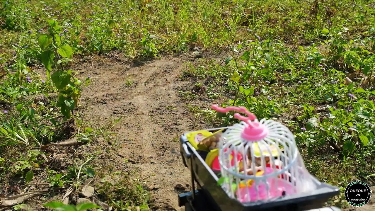 Relaxing Whirlpool Experiment With Toy Bird Cages  #21  Video Whirlpool Relaxing With Truck Concrete  Kids Video, Cartoon Video, Kids For Cartoon, Cartoon For Kids, Video Whirlpool, Relaxing Video, Truck, Car, Kids Truck, Kids Car, Kids Toy,