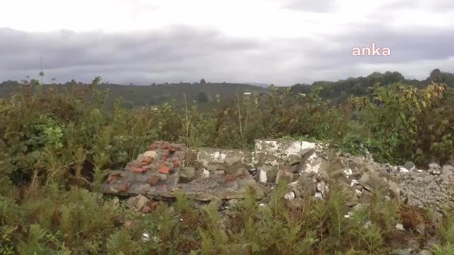 Düzce yerel haberleri: Mahmut Tanal, Düzce'de Fındık Ağaçlarının Kesildiği Köyde: Bu Araziye Tüm İşlemleri Bitmesine Rağmen Hastane İnşaatına Neden Başlanmıyor