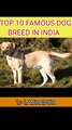 TOP 10 FAMOUS DOG BREEDS IN INDIA __ #shorts #viral #dog #shortvideo #animals