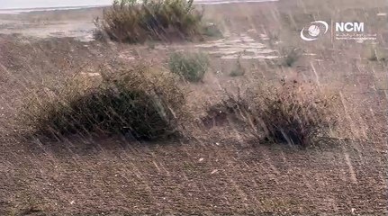 Look: Heavy rains, hail hit Dubai’s Al Qudra Lakes