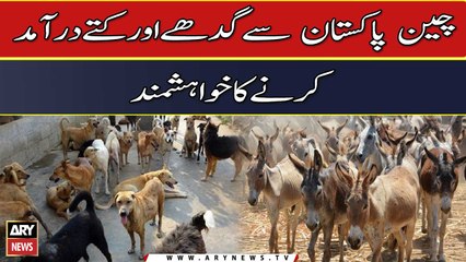 China wants to import donkeys and dogs from Pakistan