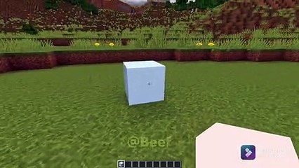 Pc vs. Realistic Snowl #minecraft #meme #creepstar