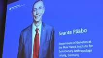 Sweden's Svante Pääbo wins Nobel prize in medicine for work on evolution