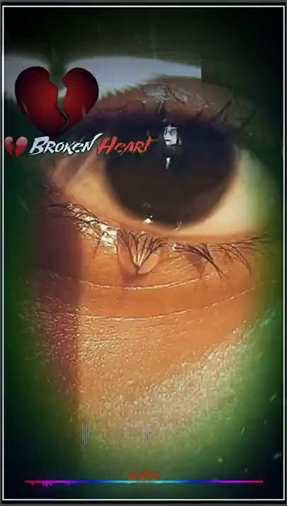 Ja_Bewafa_Ja_Hame_Pyar_Nahi_Karna__Whatsaap_Status(360p)
