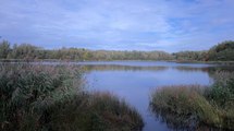 Greater Manchester’s new National Nature Reserve declared in Wigan and Leigh