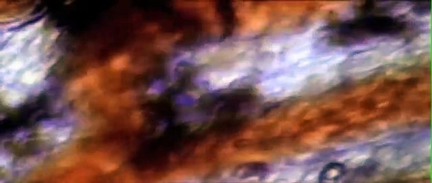 Skinwalkers Bande-annonce (EN)