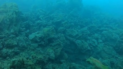 El fondo marino de la fajana tras la erupción de La Palma