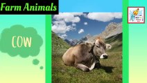 Learn Farms Animals | Farms Animals Names | Kids Learning Education