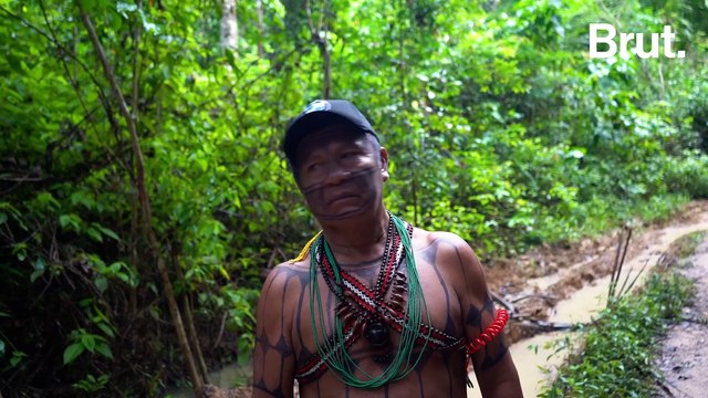 En Amazonie, ce peuple indigène menacé par la récolte d’or