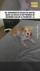 ¿Quieres ir al par...