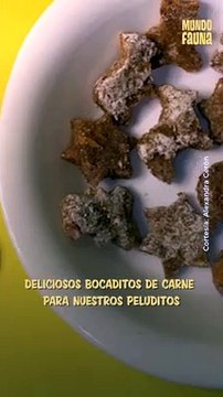 Deliciosos bocaditos de carne fáciles y rápidos para nuestro peluditos