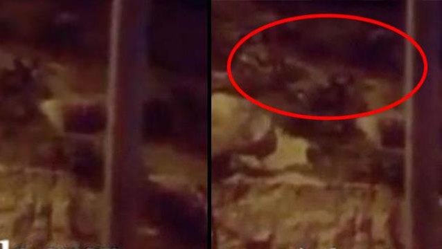 Siirt'te mezarlıktan gelen esrarengiz sesler, duyanların tüylerini ürpertti! Türkiye bu kaydı tartışacak