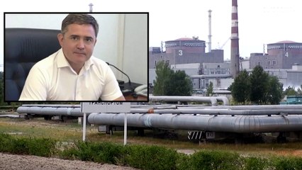 Liberado el director de la central nuclear de Zaporiyia