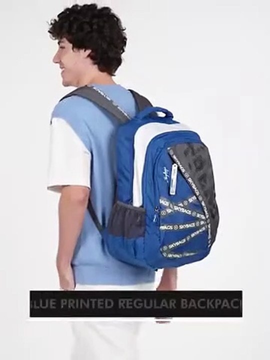 Youtube shorts Flipkart Big Billion special SKYBAGS Large 31 L Backpack RIDDLE  Blue Grey