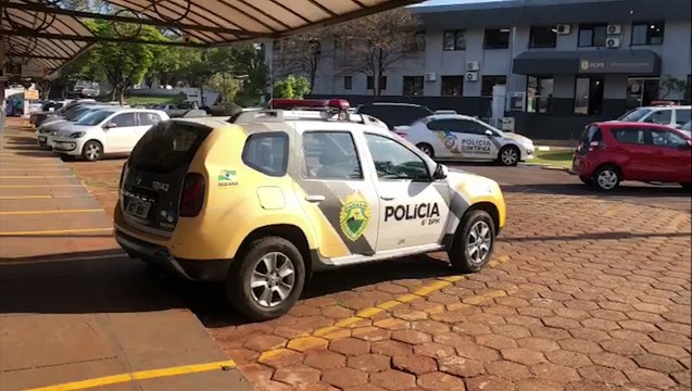 Mulher é encaminha à 15ª SDP por receptação de cachorro Pitbull