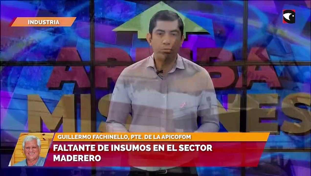 Madereros piden que se liberen más dólares para comprar maquinaria