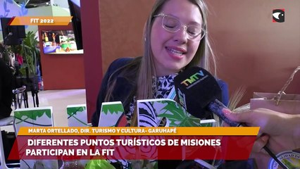 Diferentes puntos turísticos de Misiones participan en la FIT 2