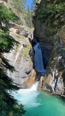 Speechless - Nature at Its Best