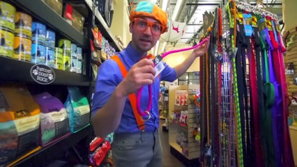 Los colores de Amy's Playground | Aprende con blippi | Videos educativos para niños part 1