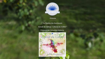 Sébastien Duboscq " La Passion des Sentiments " - Extrait du Nouvel Album 2022 L'Envol du Colibri.