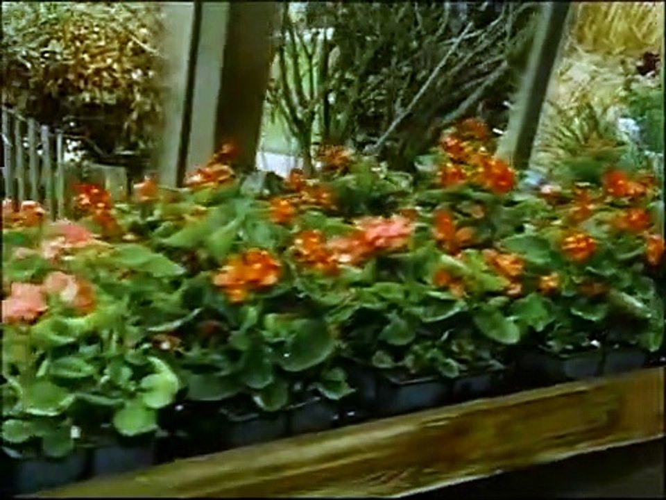 Der Alte Staffel 5 Folge 7 HD Deutsch