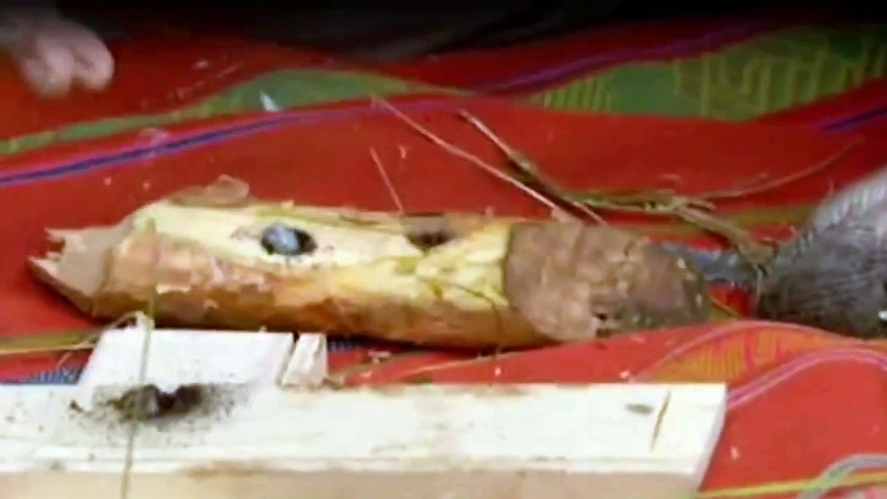 Das Survival-Duo Zwei MäNner, Ein Ziel Staffel 4 Folge 8 HD Deutsch