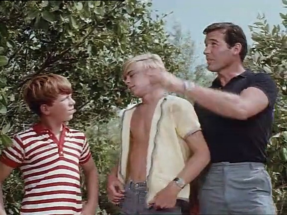 Flipper Staffel 2 Folge 2 HD Deutsch