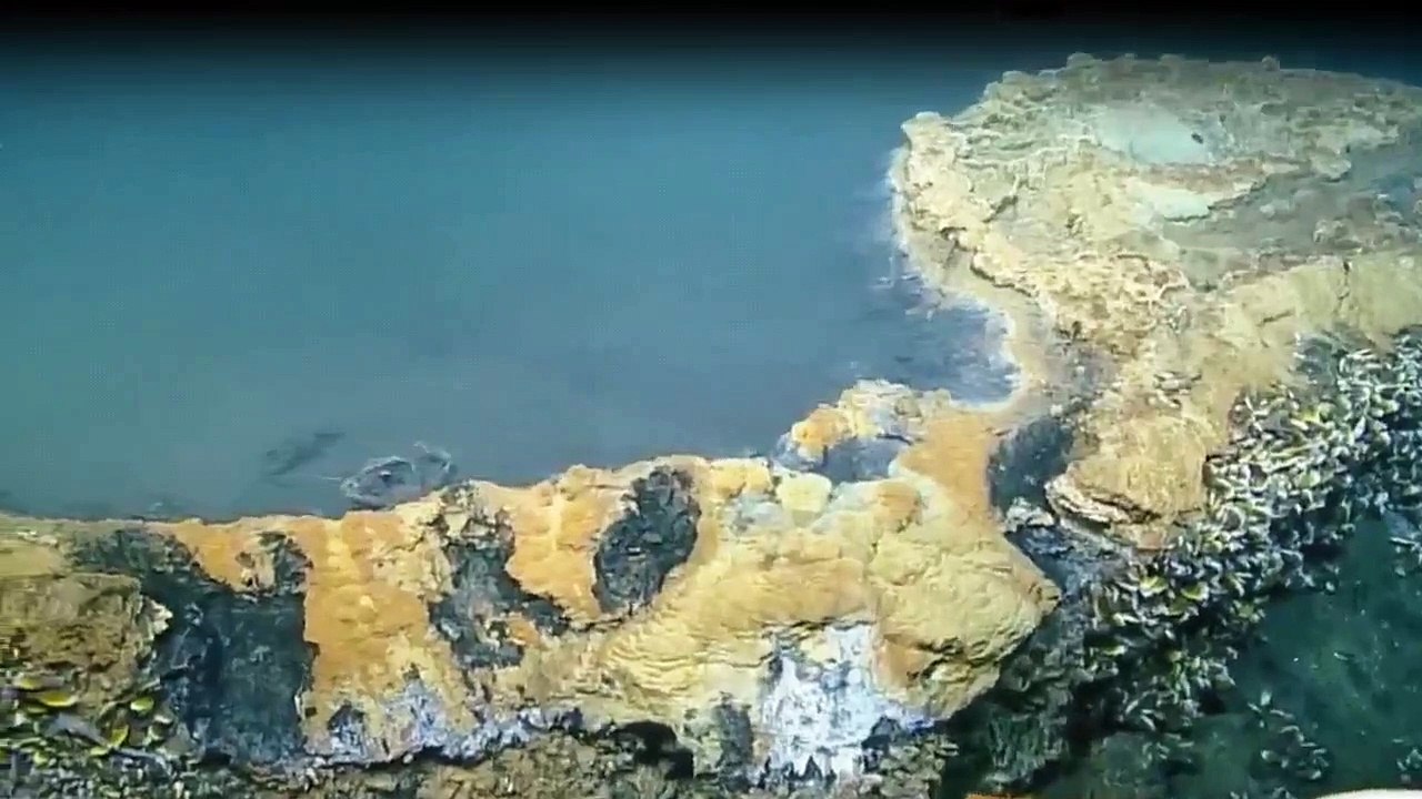 Strange Evidence Staffel 1 Folge 8 HD Deutsch