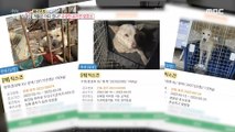 [HOT] Where did the dogs go? Suspicious dog shelter,생방송 오늘 아침 20221004
