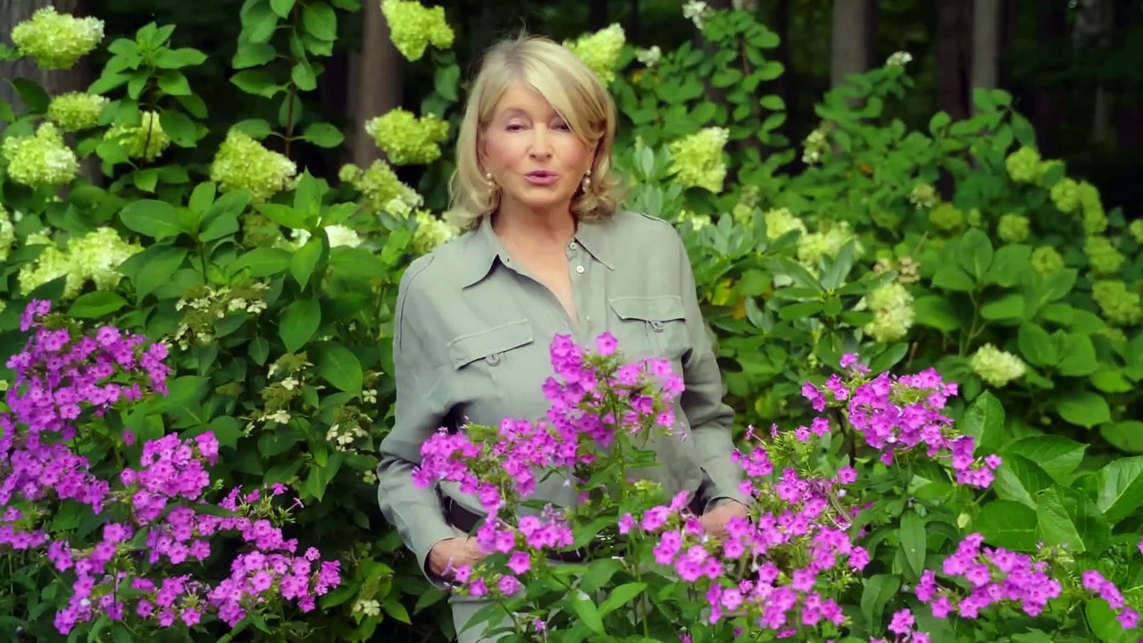 Martha Gardens