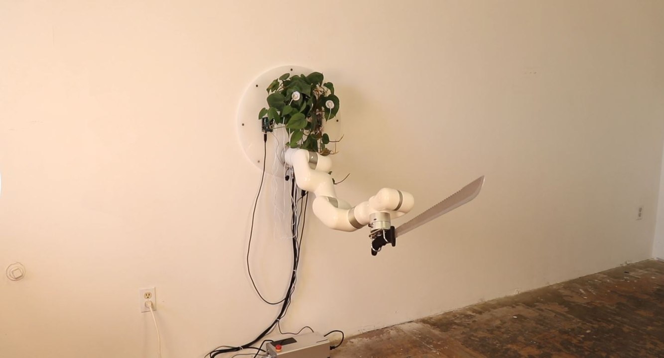 plant machete