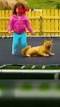 The end ----_funny _short _ytshorts _animals _pets _dogs _dog _cats 152 _viral ------ _152 _viralshorts(480P)