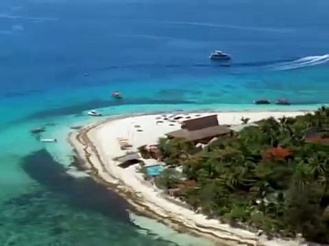 Les Dents de sabre Bande-annonce (EN)