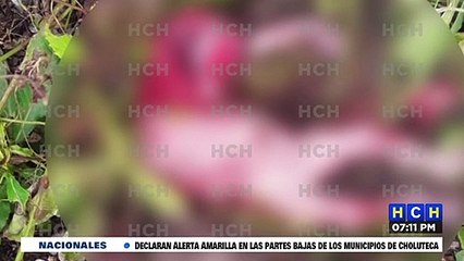Menor fue deborado por perros en Lepaera, Lempira