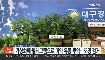 가상자산·텔레그램 통해 필로폰·대마 유통·투약 사범 53명 검거