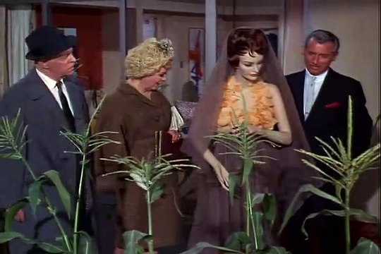 Green Acres - 002 - Lisa's First Day on the Farm TV Show