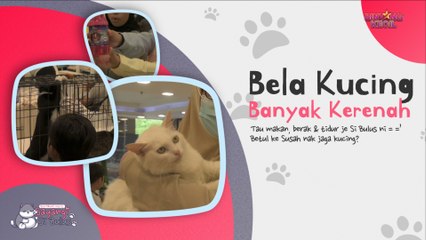 Bela Kucing Banyak Kerenah | Sayangi Si Bulus | BINTANG KECIL