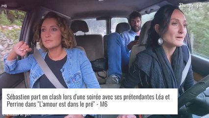 Sébastien (L'amour est dans le pré) : Enorme clash, larmes et mystérieux rebondissement à la dernière minute
