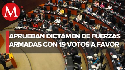 Comisiones del Senado aprueban nueva propuesta sobre Fuerzas Armadas