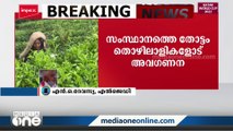 'തോട്ടം തൊഴിലാളികളുടെ പ്രശ്‌നം പരിഹരിക്കാൻ സർക്കാർ താൽപര്യം കാണിക്കുന്നില്ല' എൻ.ഒ ദേവസ്യ