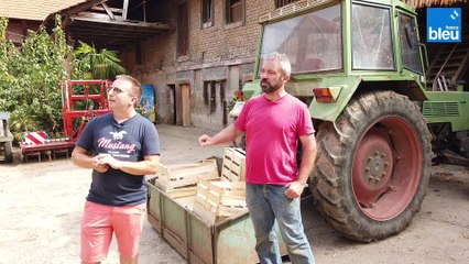 La Ferme Obrecht à Handschuheim avec Jean-michel Obrecht