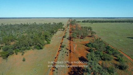 Burwah, St George, Qld - October 4, 2022 - Farmonline