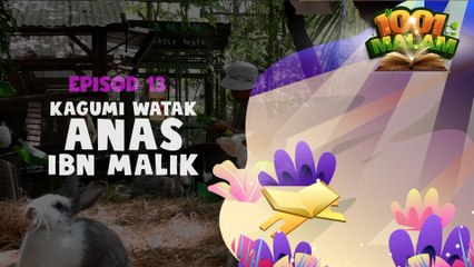Kagumi Watak Anas Ibn Malik | Hikayat 1001 Malam | BINTANG KECIL