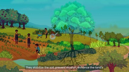 BuzzFlick Explainer Video: Food, Nature, and Climate